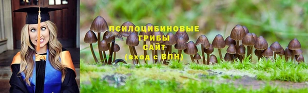 прущие грибы Балабаново