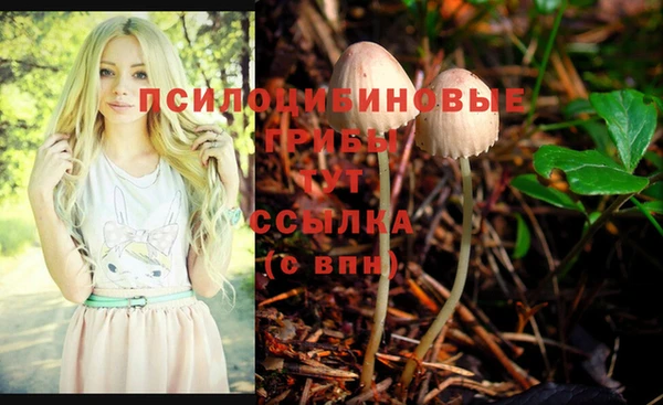 мяу мяу мука Шадринск