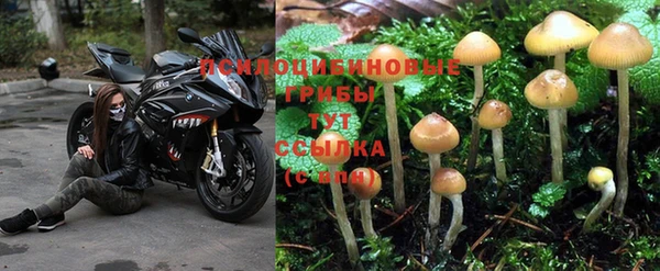 ГАЛЛЮЦИНОГЕННЫЕ ГРИБЫ Медногорск