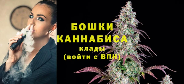 индика Балахна